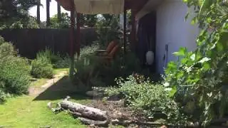Garden Profile: Hei-ock Kim, San Diego