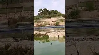 Просто Хочется Жить.Вместе Победим!