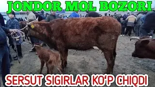 06 03 2022 JONDOR MOL BOZORI ONA BOLA SIGIR NARXLARI. ЖОНДОР МОЛ БОЗОРИ ОНА БОЛА СИГИР НАРХЛАРИ