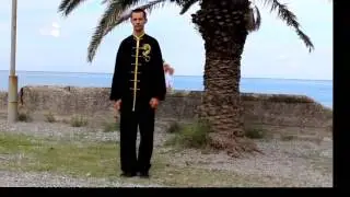 Чэнь ши тайцзи лаоцзя и лу.1.тайцзи циши