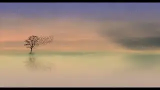 😍😍1.5 Hours Best Relaxing Music for Yoga, Meditation and sleep!😍😍