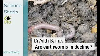 BTO Science Shorts - are earthworms in decline?