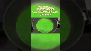 Чипсы для декора
