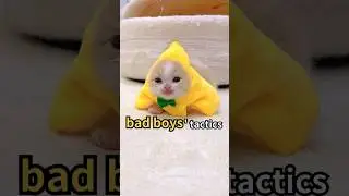 Charm Cats Like A Bad Boy(4steps)