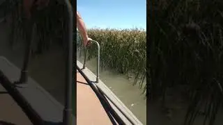 AZOV sea 2