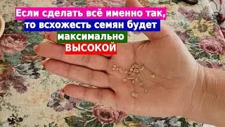 Мои золотые правила посева семян на рассаду