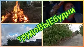 трудоВЫЕбудни.Готовлю дом к зиме.Дела домашние.Жгу сорняки