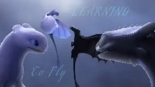 •Learning To Fly• ~ HTTYD