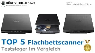 Die besten Flachbettscanner 2024 (TOP 5) 🥇 Testsieger im Vergleich (gut und günstig)