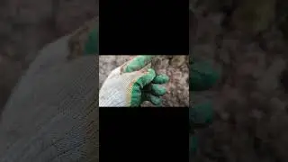 ПЕРВЫЙ РАЗ ТАКАЯ НАХОДКА! НАСКОЛЬКО ОНА СТАРАЯ?