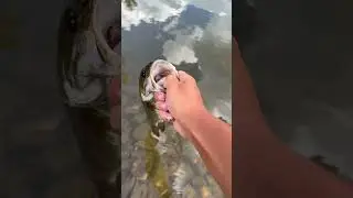 Last Cast is the Best Cast 🐟 