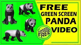panda green screen video | panda green screen | panda chroma key | green screen panda video