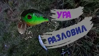 Рыбалка на спиннинг. Первый из трех разловил. Воблер на щуку.