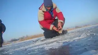 ЗИМНЯЯ ЛОВЛЯ ПЛОТВЫ НА ЗАТОКЕ ДНЕПРА