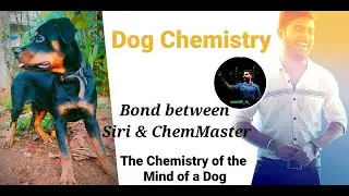 #Dog #Chemistry| #Siri | #pet #love | The chemistry of the mind of a dog|