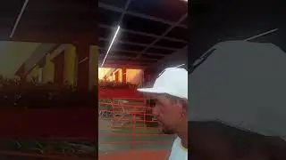 oooooogloria
