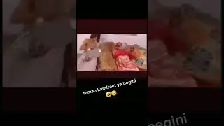 TEMAN TERLUCKNUT SEPANJANG ABAD🤣🤣🤣🤣