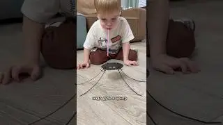 Веселые ПАУЧКи 😊🕷️ 