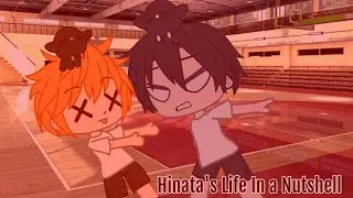 Hinata's life in a Nutshell || Haikyuu