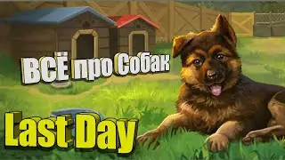 All about dogs / Last Day