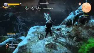 The Witcher 3: Wild Hunt: NG+ Deathmarch EREDIN BUG!