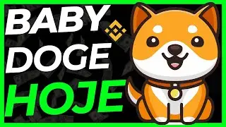 BABY DOGE COIN HOJE VEJA