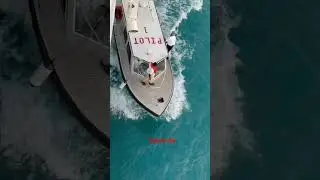 Risky job Sea Pilot off boarding cruise ship#pilot #sea #risk #navigation#travel #shortsfeed#shorts