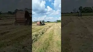 29 июня 2024 г.