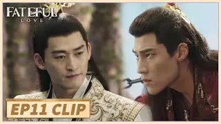 EP11 Clip | He beats up the rival with his superb martial arts😏| Fateful Love | 流光引