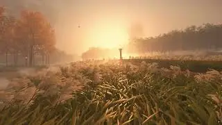 4K Relaxing wind sound sleep meditation from Tsushima # 1
