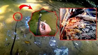 Survival skills: Câu cua đá trong rừng sâu - Kỹ nằng sinh tồn