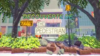 DémonstrationThe Pedestrian