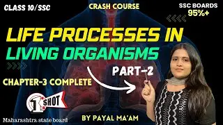 LIFE PROCESSES IN LIVING ORGANISMS PART-2 | Full Chapter 3 in ONE SHORT | MH Board | Payal Ma'am