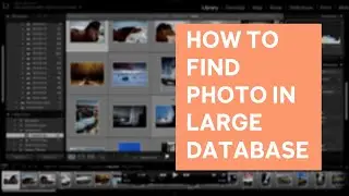 How To Find Photos In Lightroom | Adobe Lightroom Post Processing Workflow Tutorial