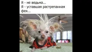 утро понедельника добрым не бывает!!!
