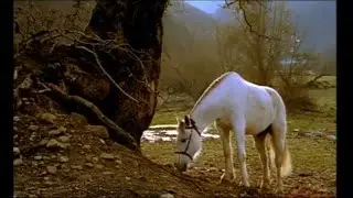 Заставка ОРТ 2001,Лошадь Полная Версия