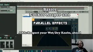 24 Year Old Disappointment Teaches Parallel Effects In Reaper
