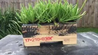 2016 Pallet Wood Up Cycle Challenge Submission Planter Box ZIK's WORKSHOP