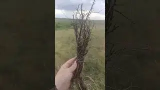 А вы все хотите на халяву. Так не бывает.
