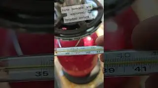 👉Захворів, але картоплю потрібно копати🚜