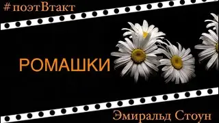 🔰РОМАШКИ🔰 Эмиральд Стоун