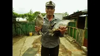 Ребята! Скоро на рыбалку! Уровень воды поднимают!
