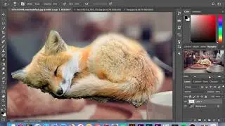 Photoshop live from twitch!
