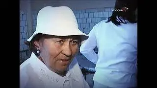 Что такое хорошо и что такое плохо #shorts, #анекдоты, #смех