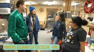 Rikers Island Cat Rescue - A Day-to-Day Q&A