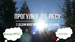 Прогулки по лесу. День за днем с дедом Многоведом. 13 февраля 2024г. Эпизод 757.