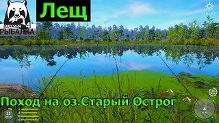 Русская рыбалка 4 - оз. Старый Острог - Лещ
