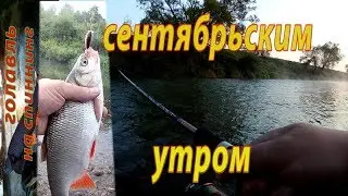 Ловля ГОЛАВЛЯ на спиннинг в сентябре.  Рыбалка на реке.