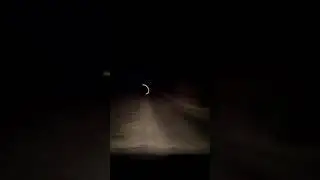 СТАРАЯ ЦЕРКОВЬ. ЗАБРОШЕННАЯ ВОЕННАЯ ЧАСТЬ. СКАНЕР ВИЛОК.