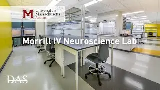 UMass Amherst Morrill IV Neuroscience Lab - Built By DAS